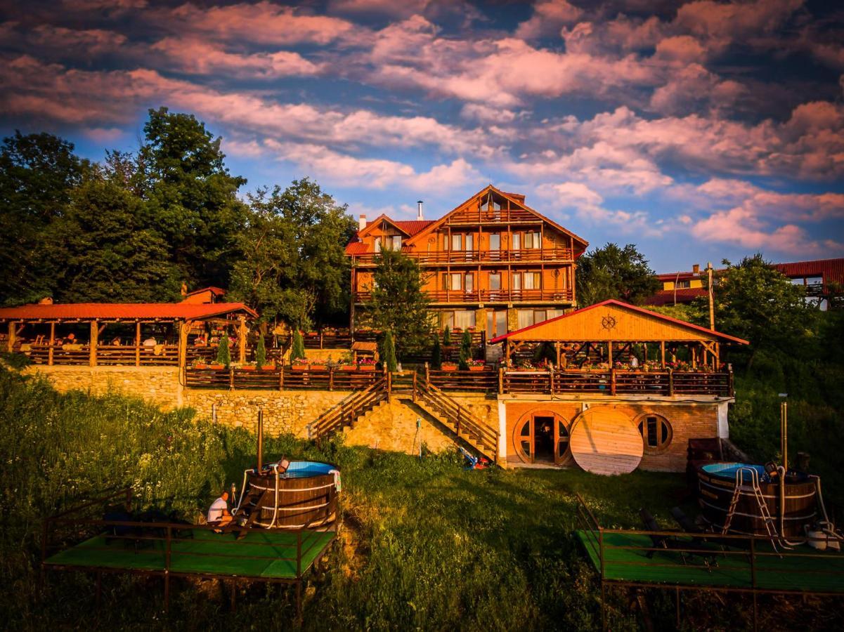 Pensiunea La Maria Lu' Sandoiu Hotel Poenari Kültér fotó